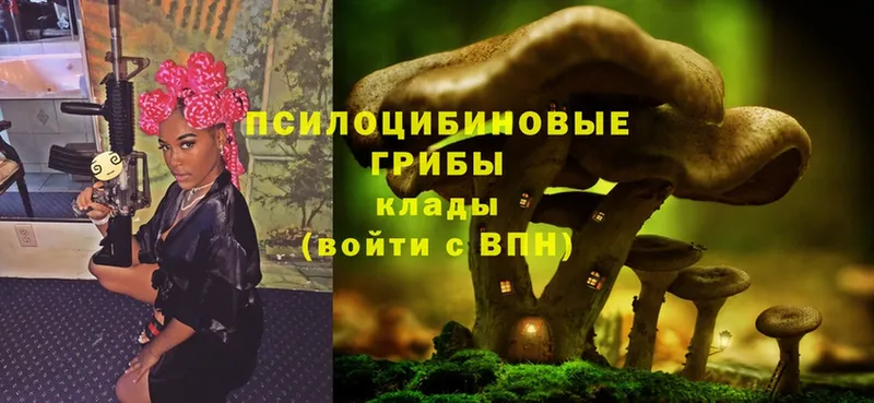 Псилоцибиновые грибы Magic Shrooms  hydra ссылка  Карталы 